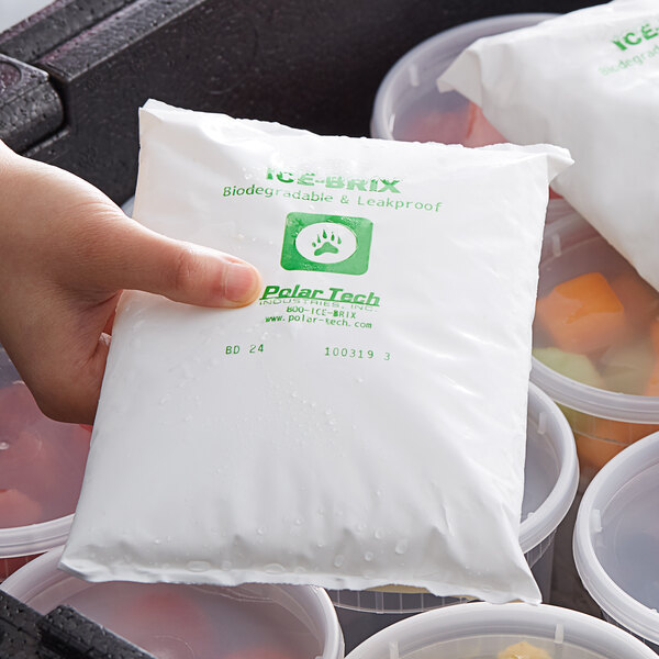 A hand holding a white bag of food with Polar Tech ice brix inside.