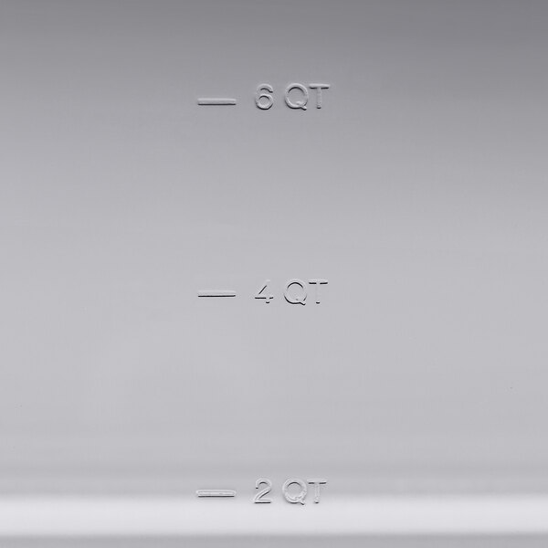 A clear plastic Vigor food pan.