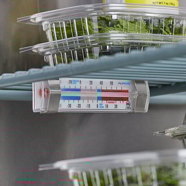 An AvaTemp refrigerator/freezer thermometer on a shelf with food.