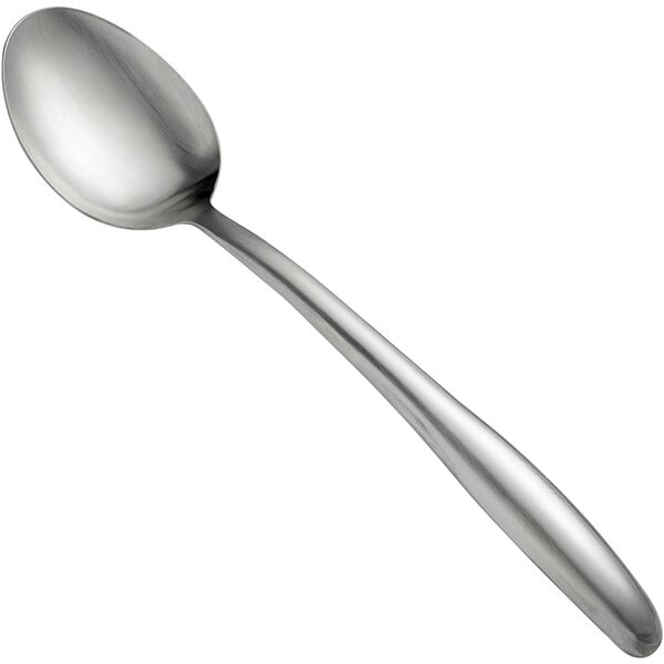 A close-up of a Tablecraft stainless steel serving spoon with a silver handle.