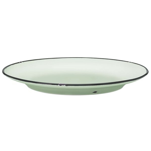 A Luzerne green porcelain plate with a black rim.