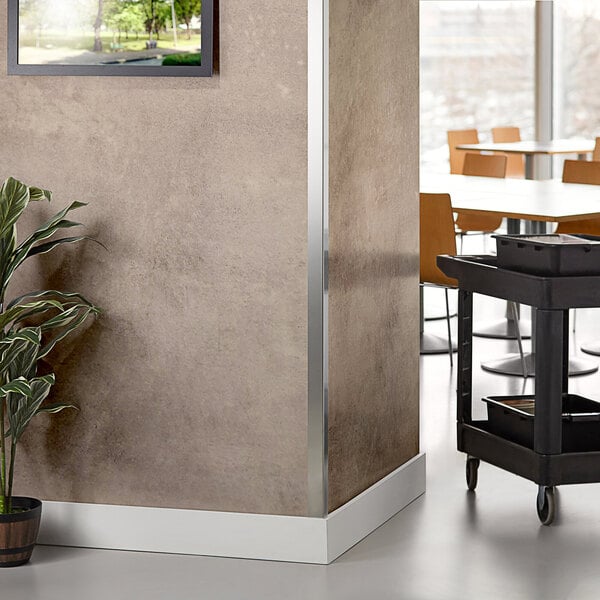 A stainless steel Regency wall corner guard installed in a room with a plant in a pot.