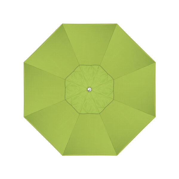 A green California Umbrella with a Sunbrella Macaw canopy.