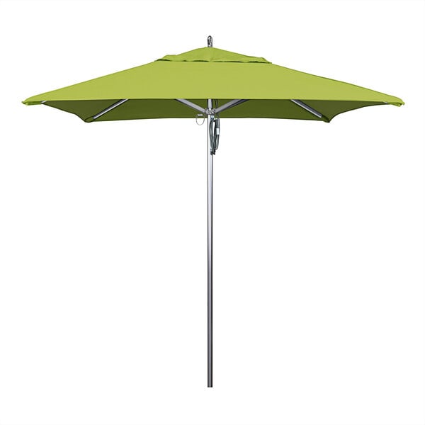 A California Umbrella with a Sunbrella Macaw canopy on a metal pole.