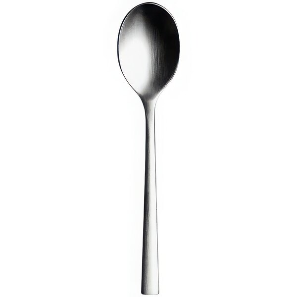 A close-up of a Sola stainless steel coffee spoon with a silver handle.