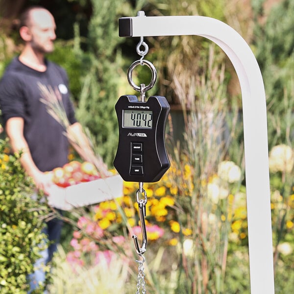 A black AvaWeigh digital hanging scale with a screen.