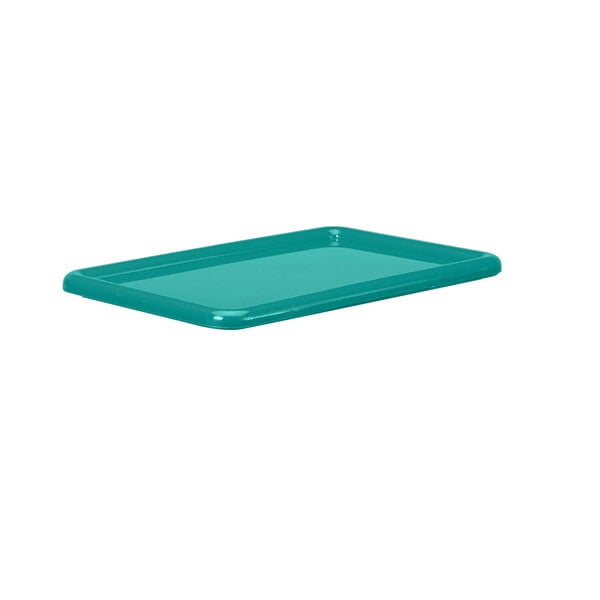 A teal rectangular tray with a white background.