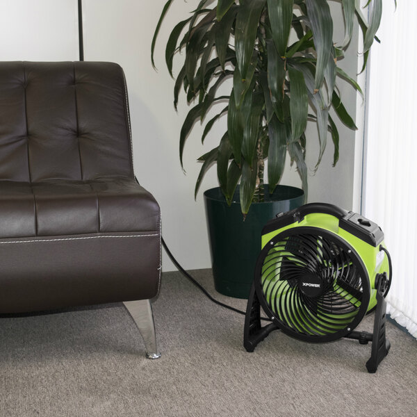 An XPOWER green and black utility fan next to a plant on a couch.