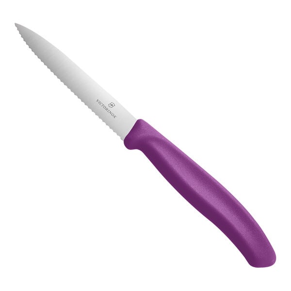 A serrated spear point paring knife with a stainless steel blade and an eggplant purple handle.