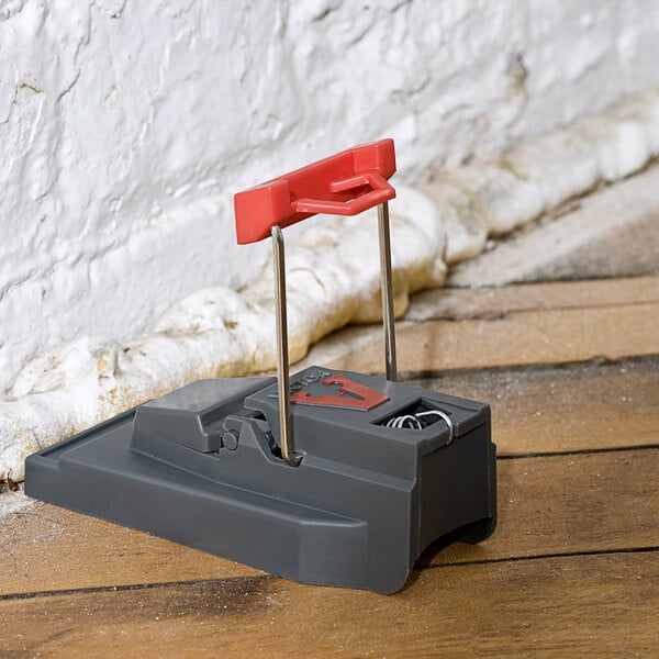 a mousetrap on a wood floor