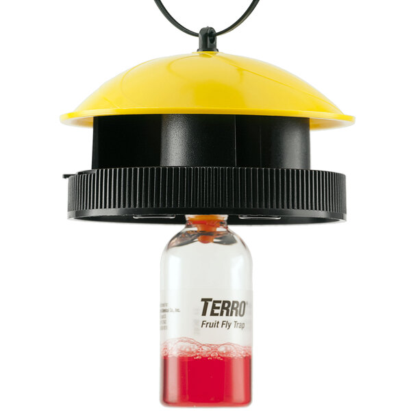 A yellow and black Terro Wasp and Fly Trap with red liquid inside.