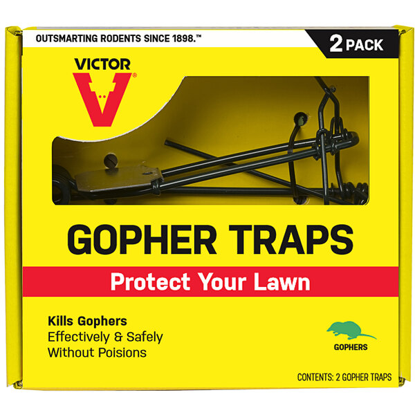 A yellow Victor box with 2 black Victor gopher traps inside.
