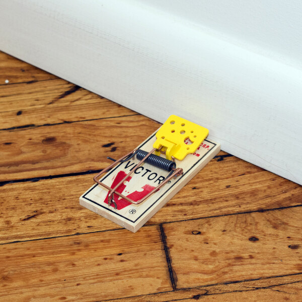 a mouse trap with a yellow mousetrap