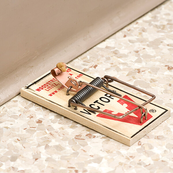 A Victor Pest metal spring mouse trap on the floor.