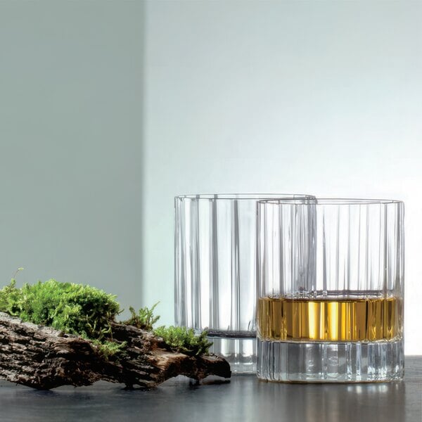 Two Luigi Bormioli double old fashioned glasses filled with liquid on a table next to moss.