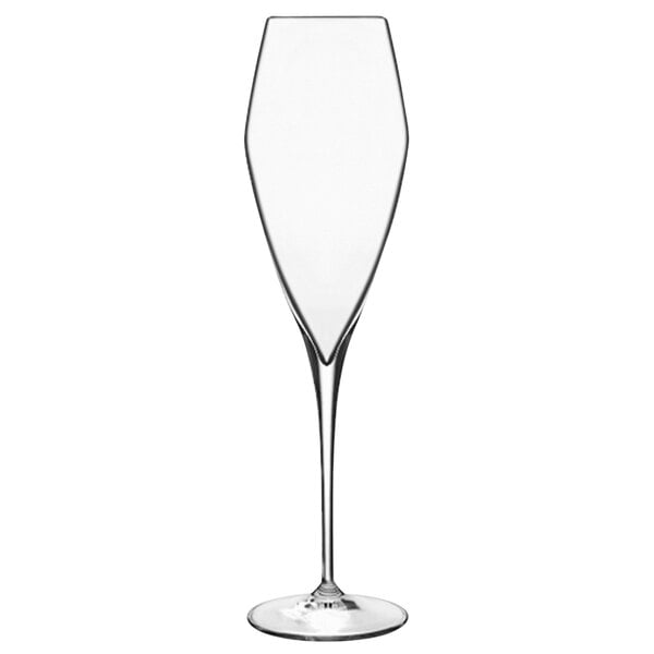 A Luigi Bormioli Atelier champagne flute with a long stem.