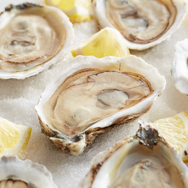 Rappahannock Oyster Co. Live Olde Salt Oysters - 50/Case