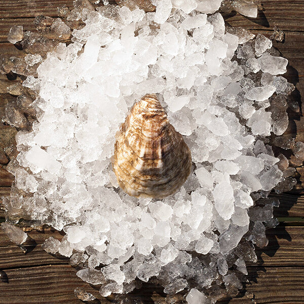 Rappahannock Oyster Co. 100 Count Live Olde Salt Oysters