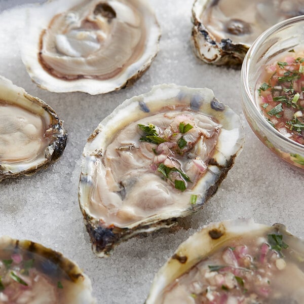 A group of Rappahannock Oysters on ice on a white surface.