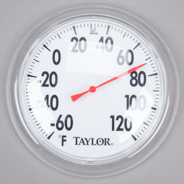 Taylor  9-3/4 in Indoor and Outdoor  Tube Thermometer