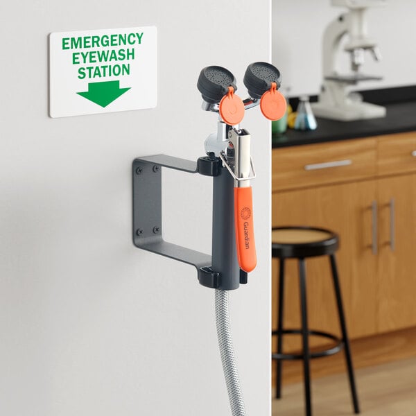 A wall-mounted emergency eyewash station with a drench hose and backflow preventer.