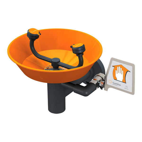 A Guardian Equipment wall mounted eyewash station with a bowl and stainless steel parts.