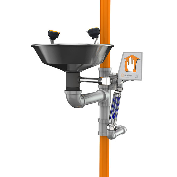 A Guardian Equipment eye wash station with a black freeze protection valve.