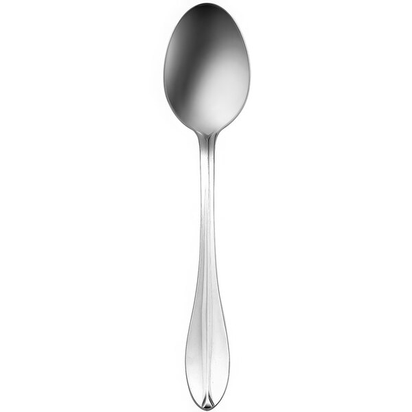 A Delco Rhodes stainless steel dessert spoon with a long handle.