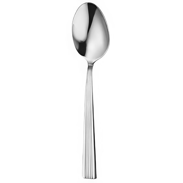 A close-up of a Delco Brayleen stainless steel teaspoon with a long handle and a silver finish.