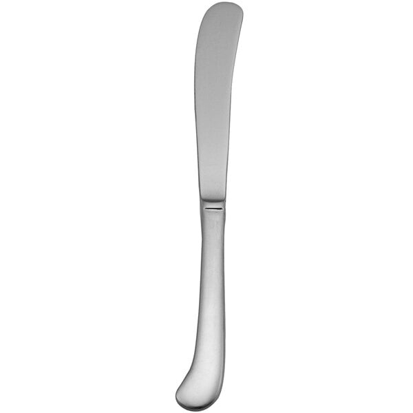 A stainless steel Delco Old English dinner knife with a handle.