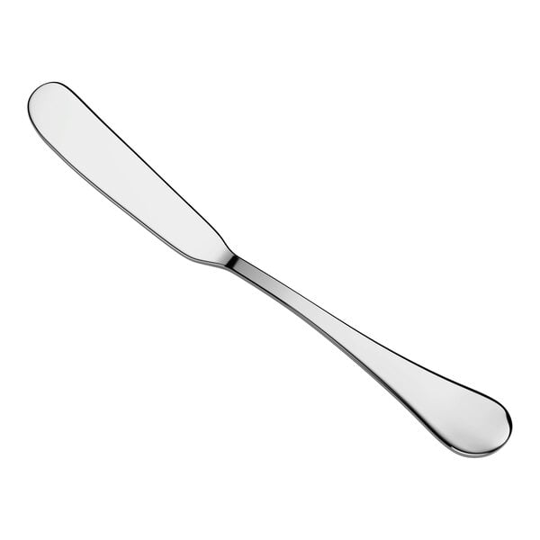 A stainless steel butter knife with a smooth, rounded blade and a simple, polished handle.