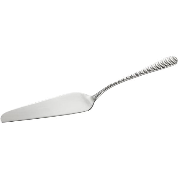 An Acopa Industry stainless steel cake server with a handle.