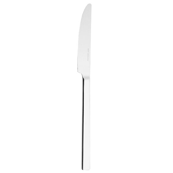 A silver Hepp by Bauscher stainless steel table knife with a long handle.