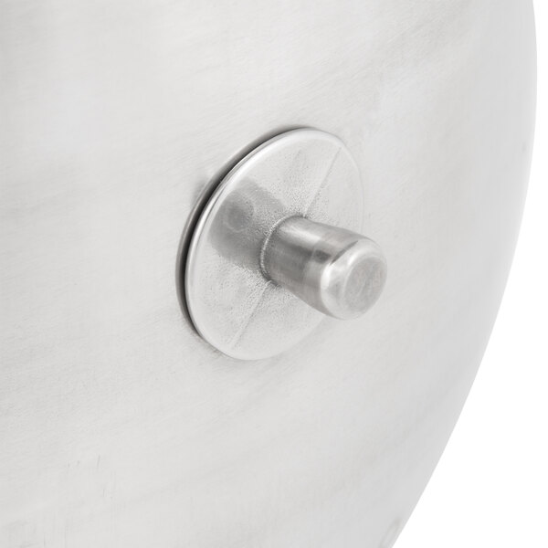 A close-up of a Globe stainless steel metal knob.