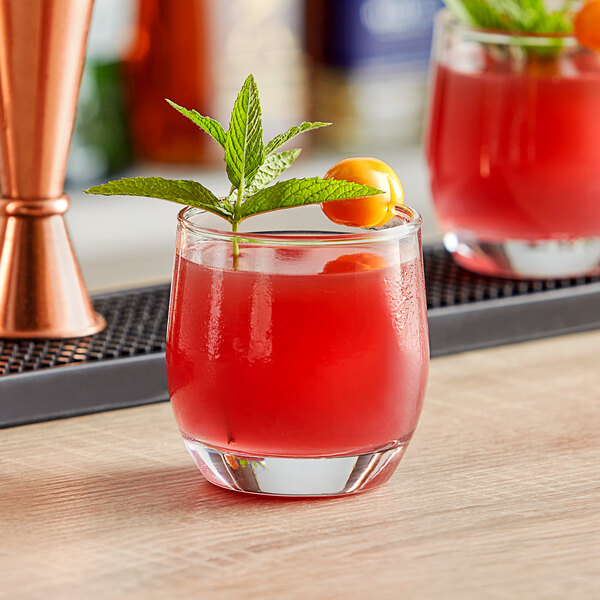 A Pasabahce Bolero rocks glass with red liquid and a green leaf garnish.