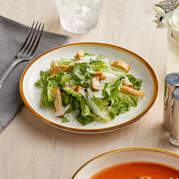 A plate of salad with croutons and cheese on an Acopa Keystone Vanilla Bean stoneware plate.