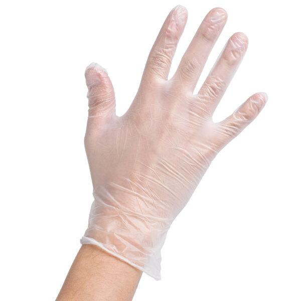 DISPOSABLE GLOVES NOBLE SAFE GUARD Vinyl Latex Free Powdered Large 100 Ct L LG 