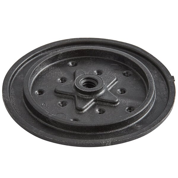 A black plastic round sprayhead with holes and a star in the center.