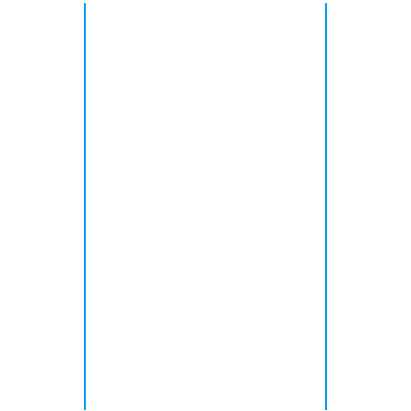 A white rectangle with blue lines.