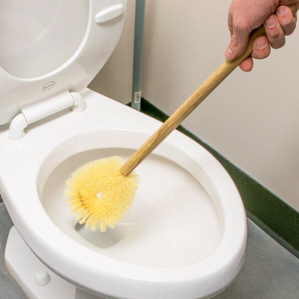 toilet seat brush