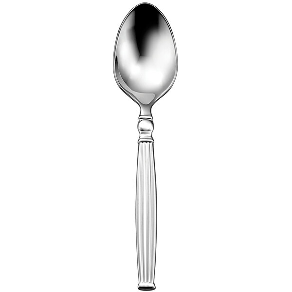 A close-up of a Sant'Andrea Colosseum stainless steel spoon with a handle.