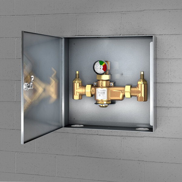 Guardian Equipment G6042 Thermostatic Mixing Valve in Surface Mounted ...