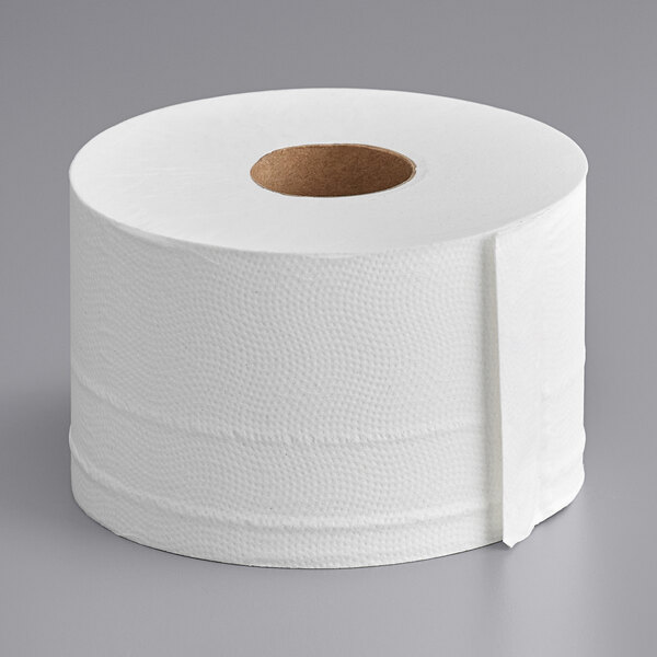 Sierra Hygiene Little Big Roll 2-Ply Toilet Tissue Roll with 5