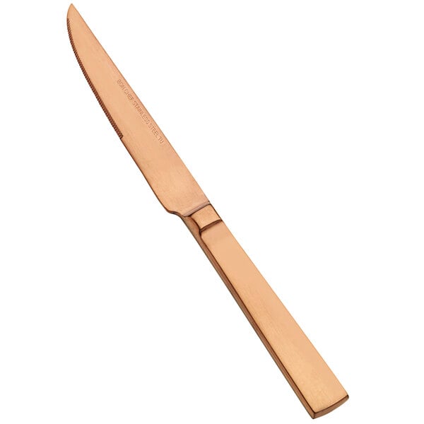 A close-up of a Bon Chef stainless steel steak knife with a wooden handle.