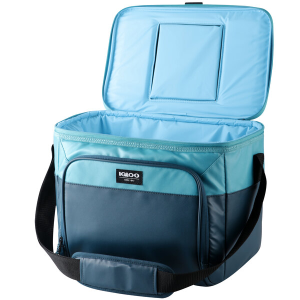 igloo insulated cooler bag