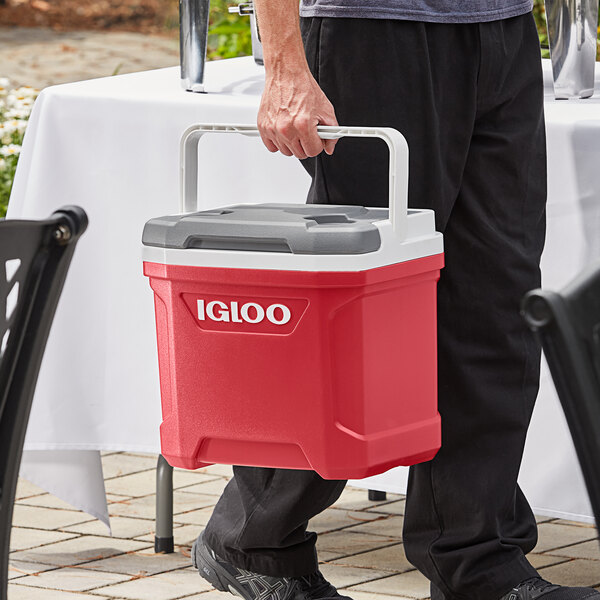 librarian Religious traitor Igloo 32627 Industrial Red Latitude 16 Qt. Cooler with Top Swing Handle