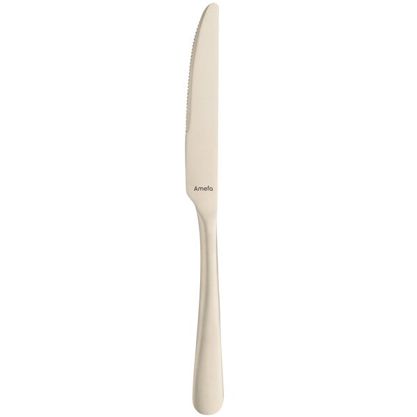 An Amefa Austin stainless steel dessert knife with a white handle.