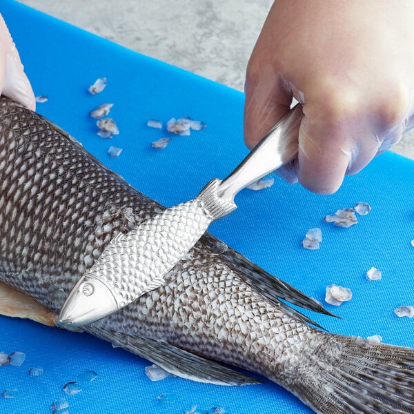 Aluminum Fish Scaler (Hand Held): Shop WebstaurantStore