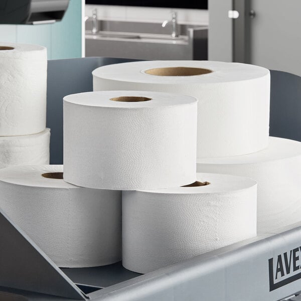 Lavex Select Little Big Roll 420' (1260 Sheets) 2-Ply Toilet Paper Roll with 6" Diameter - 24/Case