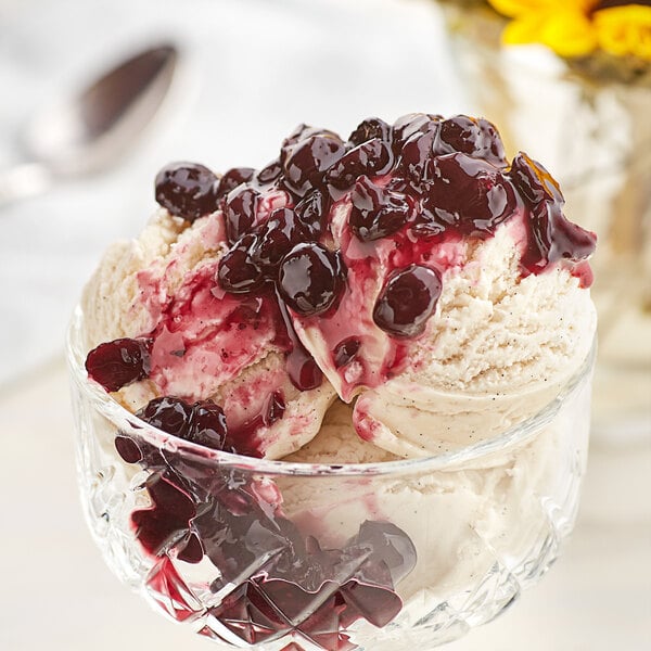 A bowl of ice cream with J. Hungerford Smith blueberry topping.